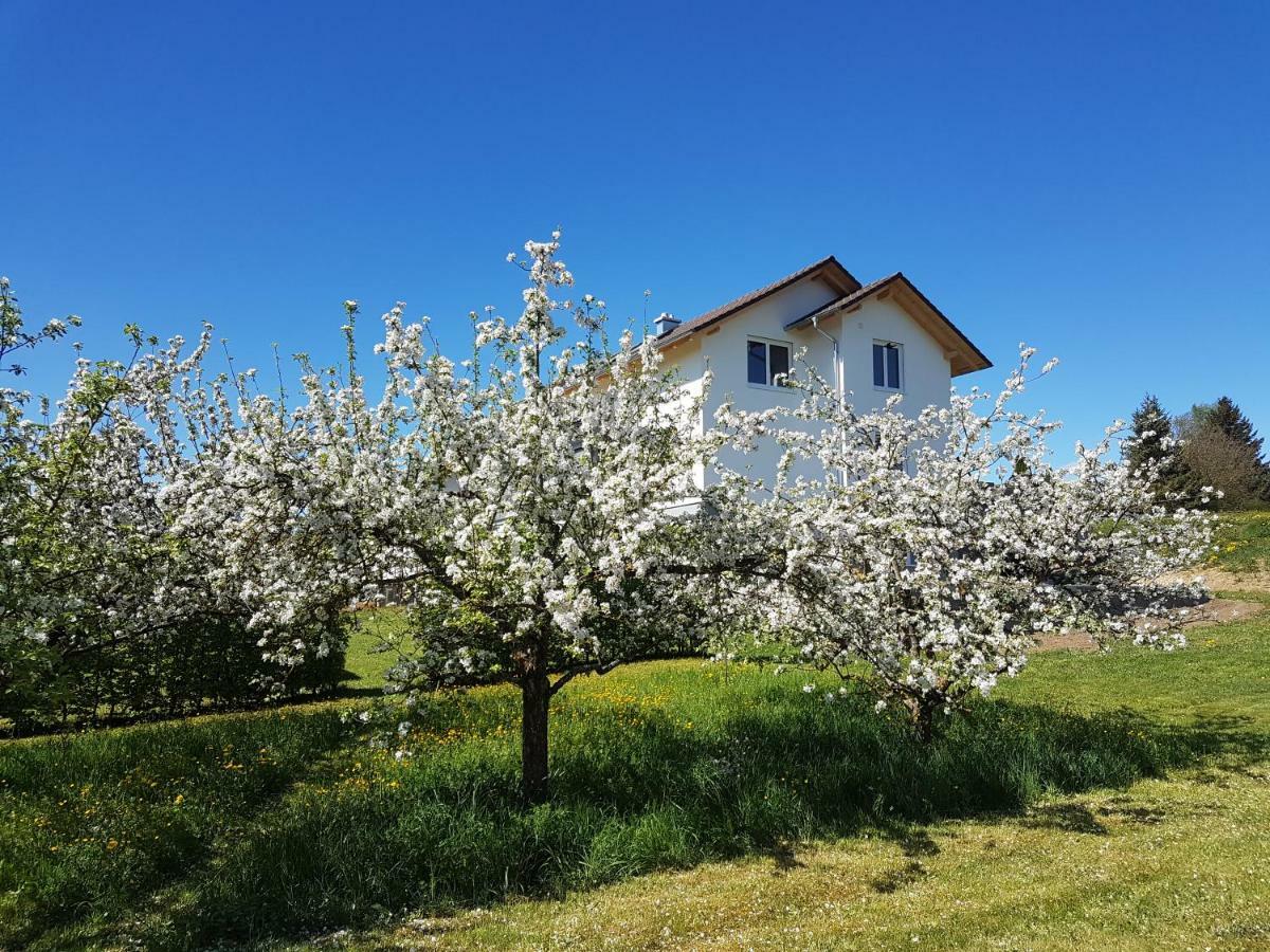 Ferienwohnung Buehlingen Ротвайл Екстериор снимка